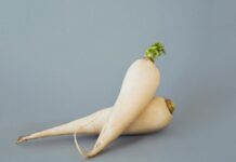 Photo of two white medium-small radishes, one on top of the other against a gray background.