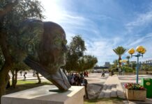 12 DC Partners Join Americans for Ben-Gurion University for Third Annual Ben-Gurion Day Photo of a large statue of a man's head atop a concrete slab.