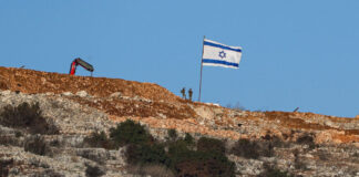 Photo of an Israeli flag standing atop a field sparsely populated with bushes. The sky in the background is clear and blue.