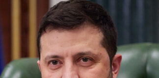 Headshot of a middle-aged man with short dark brown hair and a brown goatee looking at the camera. He is wearing a gray collared shirt over a green shirt.