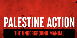 Screenshot of a red book cover that reads "Palestine Action" in large white text above smaller red text that reads "The Underground Manual."