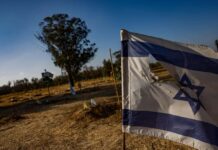A blue and white Israeli flag and a tree.