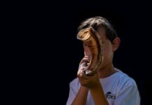 Stock photo of a young boy blowing a shofar, or ram's horn.