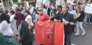 A DSA march for Palestine in 2021