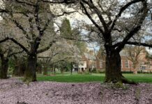 Reed College Agrees to Sweeping Reforms as Part of Title VI Antisemitism Settlement